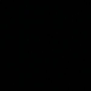 Meet your Posher, Ernie